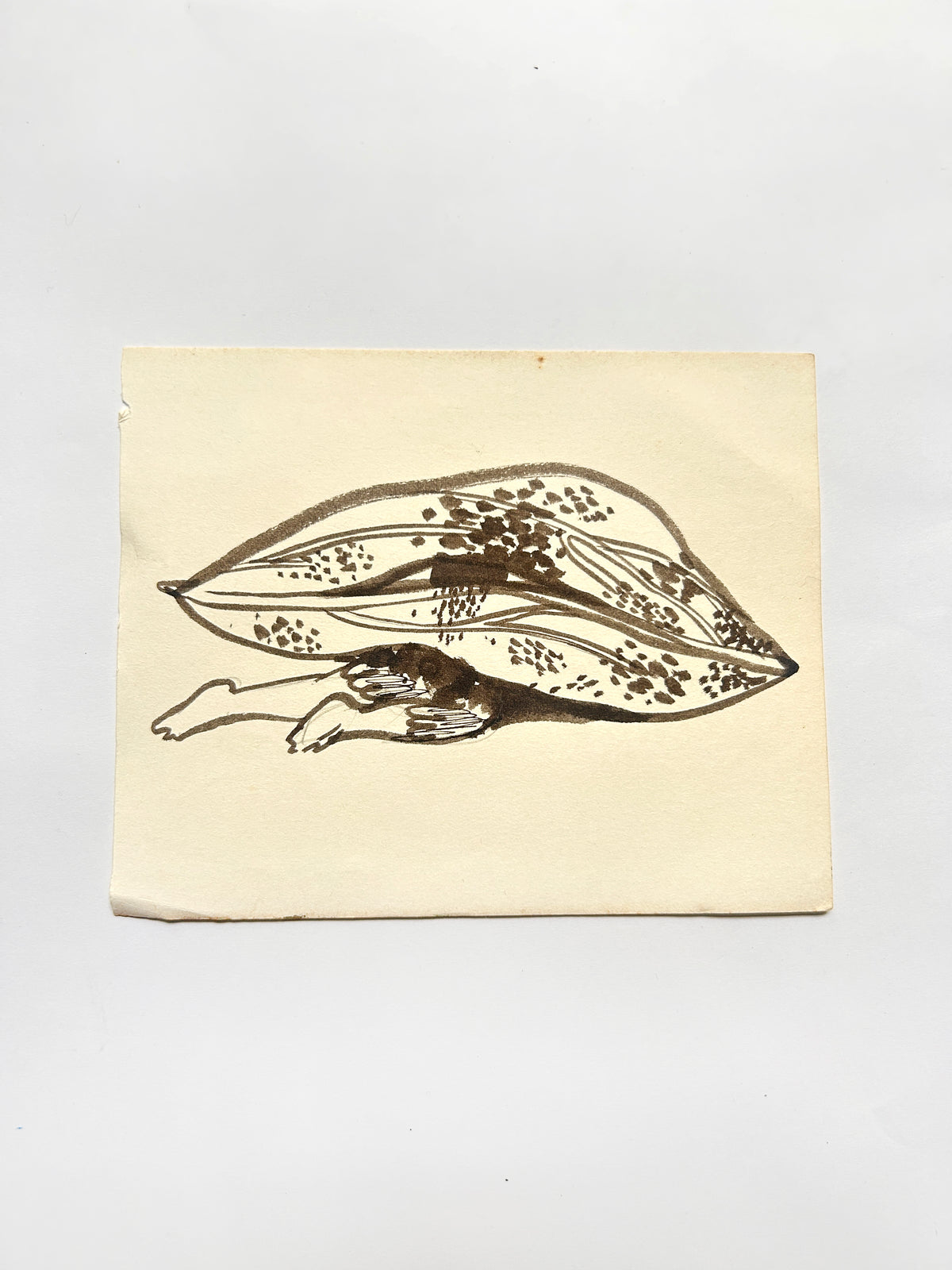 Pillow Fellow II (5x6in)