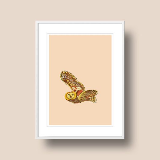 Onwards Print