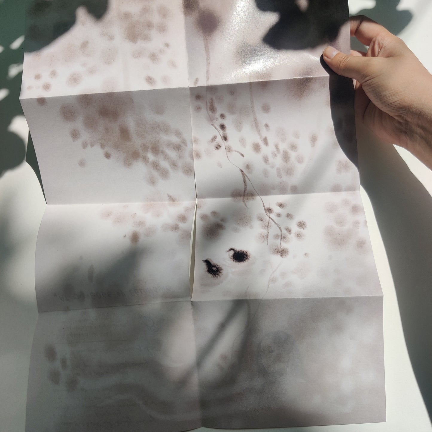 At the Edge of Belonging Zine