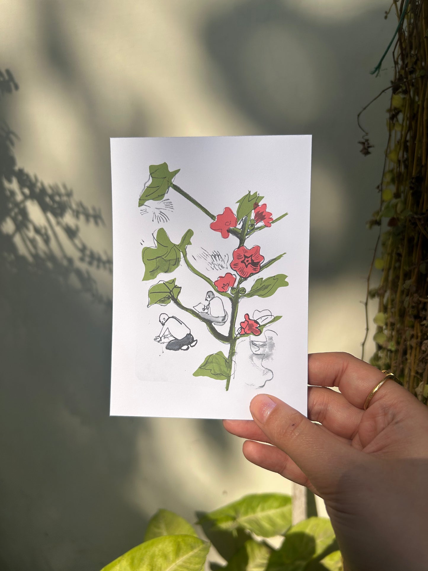 Let's See a Flower Show Postcard Set
